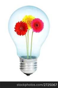 Electrobulb with a bunch of flowers gerberas on a white background...