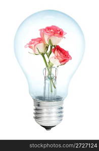 Electrobulb with a bunch of flowers rose on a white background...