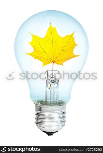 Electrobulb with maple leaf on a white background