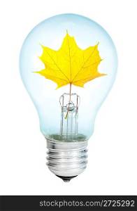 Electrobulb with maple leaf on a white background