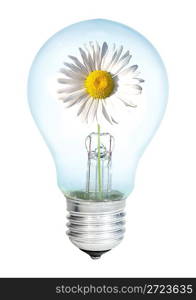 Electrobulb with oxeye on a white background