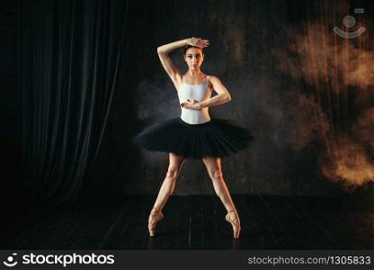 Elegance ballerina in action on theatrical stage. Classical ballet dancer in motion. Elegance ballerina in action on theatrical stage