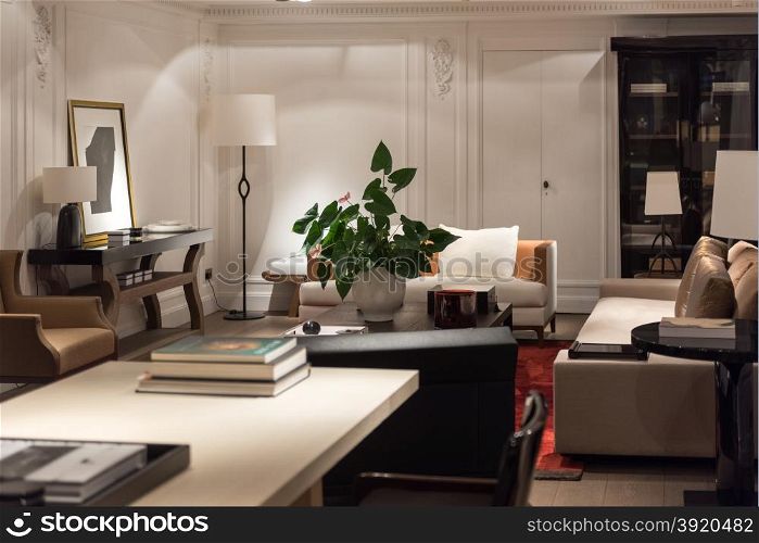 Elegant, Bright and Stylish Lounge Living Room