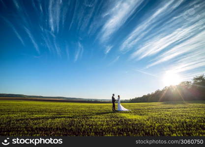 elegant groom and chic brunette bride on a background of nature and blue sky. View from afar.. elegant groom and chic brunette bride on a background of nature and blue sky. View from afar