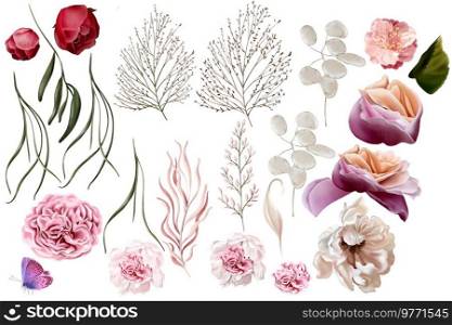Elegant set with peonies, roses and eucalyptus leaves. Illustration. Elegant set with peonies, roses and eucalyptus leaves.