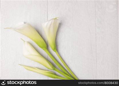 Elegant spring flower, calla lily on rustic wooden table. For wedding background image. Top view with copy space