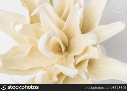 Elegant spring flower, fake gardenia on rustic wooden table. For wedding background image.