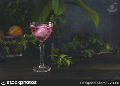 Elegant stemware glass of blood orange cocktail with big ice ball on dark wooden table surface surrounded green herbs and raw fresh blood orange in the basket.