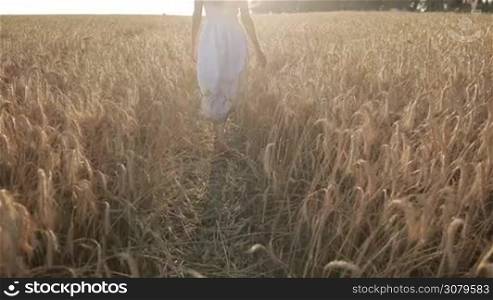 Elegant woman with arms outstretched in white dress walking through wheat field in sunset light. Back view. Sensual female touching ripened spikes of wheat with hands while stepping in cereal field in rays of setting sun. Slo mo. Stabilized shot.