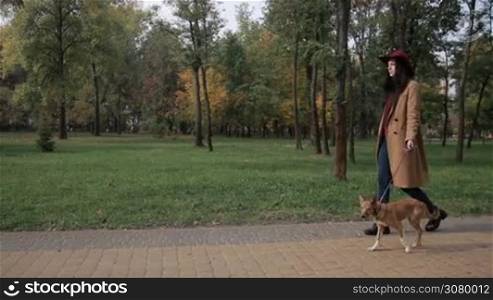 Elegant young female in fashionable camel coat and bordo hat taking a stroll on cobblestone sidewalk in autumn park. Side view. Attractive young woman walking adorable puppy in public park during indian summer. Steadicam stabilized shot. Slo mo.