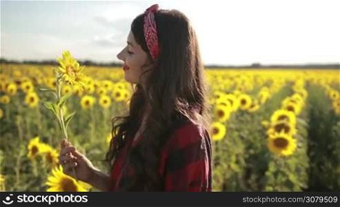 Elegant young woman walking in summer sunflower field over beautiful landscape background. Charming lady enjoying leisure in flower field, turning back and looking at camera with toothy smile. Slow motion. Steadicam stabilized shot.