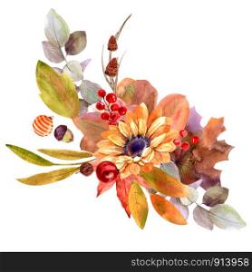 element flowers autumn watercolor for illustrations
