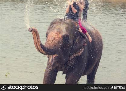 Elephant bathing in the river, Chitwan, Nepal