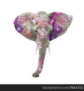 Elephant head with flowers isolated on white background