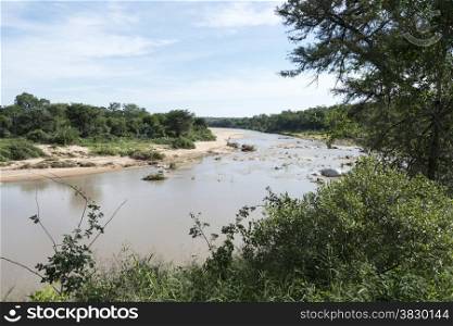 elephant river in kruger national park south africa