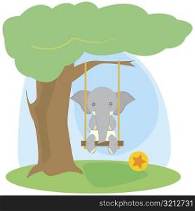 Elephant sitting on a swing