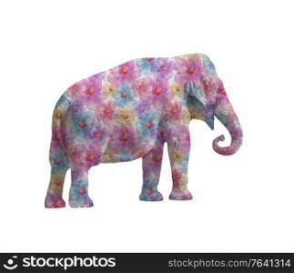 Elephant with flowers isolated on white background, side view.