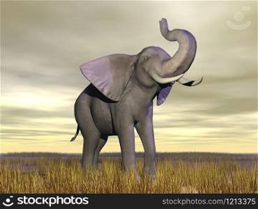 Elephant with trunk up standing in the savannah by cloudy day