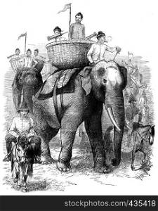Elephants Burmah. These animals are advancing majestically, vintage engraved illustration. Journal des Voyages, Travel Journal, (1879-80).