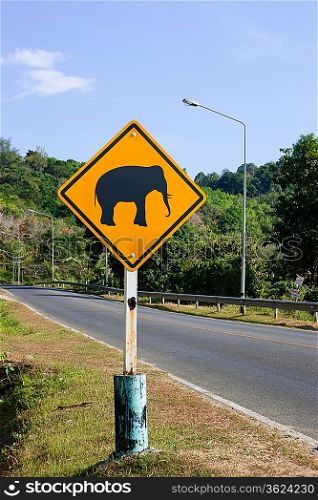 ""Elephants crossing the road sign in Phuket; Thailand""