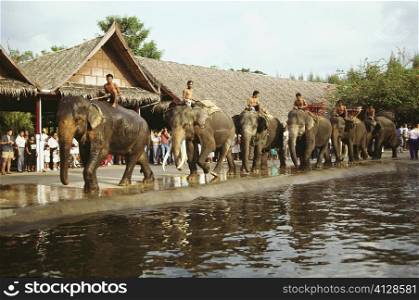 Elephants in a parade, Bangkok, Thailand