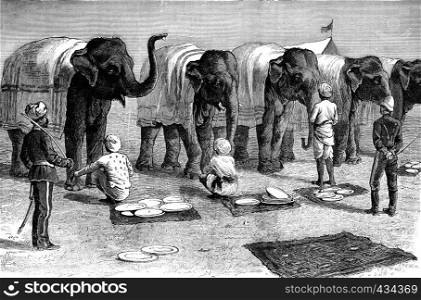 Elephants in India, vintage engraved illustration. Journal des Voyages, Travel Journal, (1879-80).