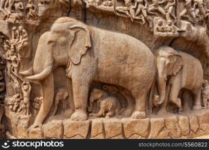 Elephants on descent of the Ganges and Arjuna&rsquo;s Penance ancient stone sculpture - monument at Mahabalipuram, Tamil Nadu, India