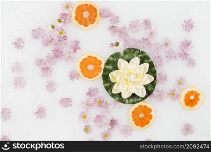 elevated view bath milk decorated with grapefruit slices lotus pink flowers
