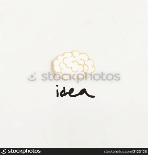 elevated view brain with idea word white background