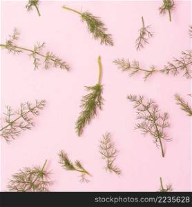elevated view green fennel twigs pink surface
