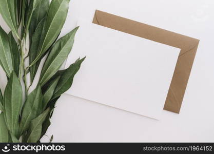 elevated view green leaves with two envelopes white backdrop. High resolution photo. elevated view green leaves with two envelopes white backdrop. High quality photo
