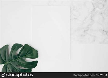 elevated view green monstera leaf white blank card desk. High resolution photo. elevated view green monstera leaf white blank card desk. High quality photo