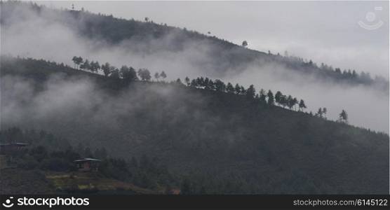 Elevated view of fog over hill, Paro, Paro District, Paro Valley, Bhutan
