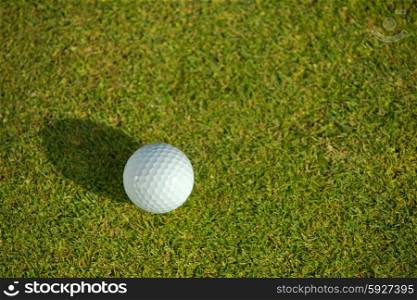 Elevated view of golf ball on grass