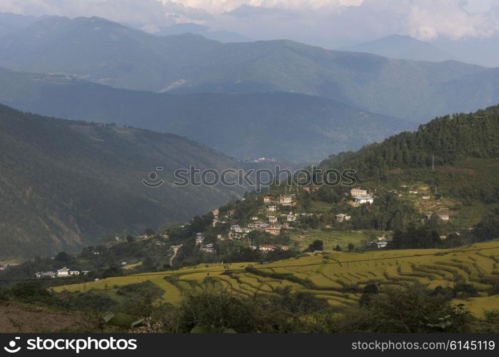 Elevated view of houses on a hill, Thimphu, Bhutan