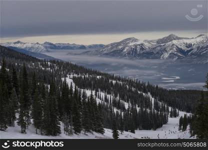 Elevated view of trees on snow covered ski slopes, Canada