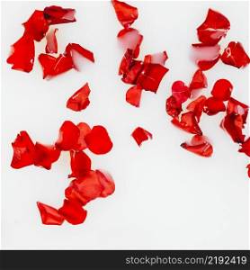 elevated view red flower petals white background