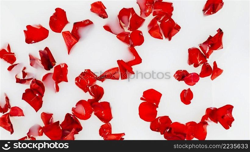 elevated view red rose petals floating water