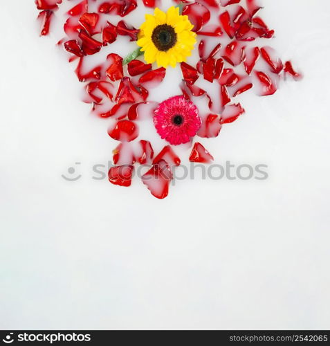 elevated view yellow red flowers with petals floating water