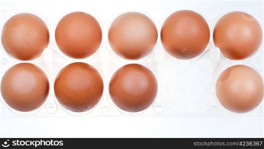 eleven brown chicken eggs in holder