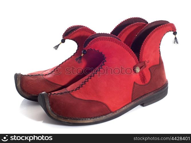 elf shoes in front of white background