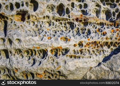 Elgol honeycomb. Beach of Isle of Skye, Scotland, United Kingdom