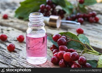 Elixir of viburnum berries in a glass bottle on a wooden table near a branch of red viburnum. Tincture or essential oil with viburnum. Spa herbal medicine.. Elixir of viburnum berries in a glass bottle on a wooden table near a branch of red viburnum. Tincture or essential oil with viburnum.