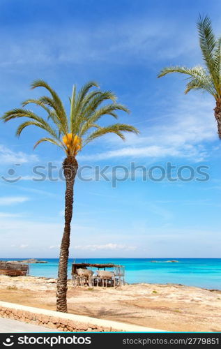 Els Pujols formentera beach with turquoise water and palm trees in balearic islands