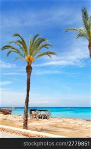 Els Pujols formentera beach with turquoise water and palm trees in balearic islands