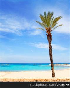 Els Pujols formentera beach with turquoise water and palm trees in balearic islands