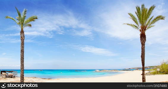 Els Pujols formentera beach with turquoise water and palm trees in balearic islands