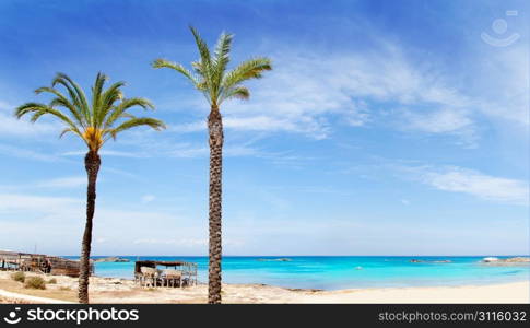 Els Pujols formentera beach with turquoise water and palm trees in balearic islands