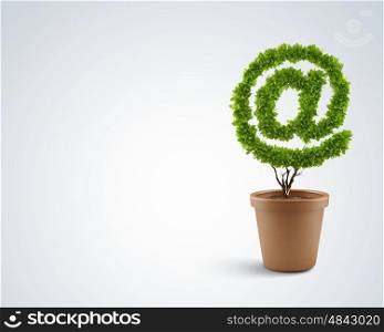 Email concept. Image of human hand cutting leaves of pot plant