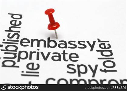 Embassy private spy